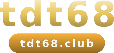 tdt68 logo